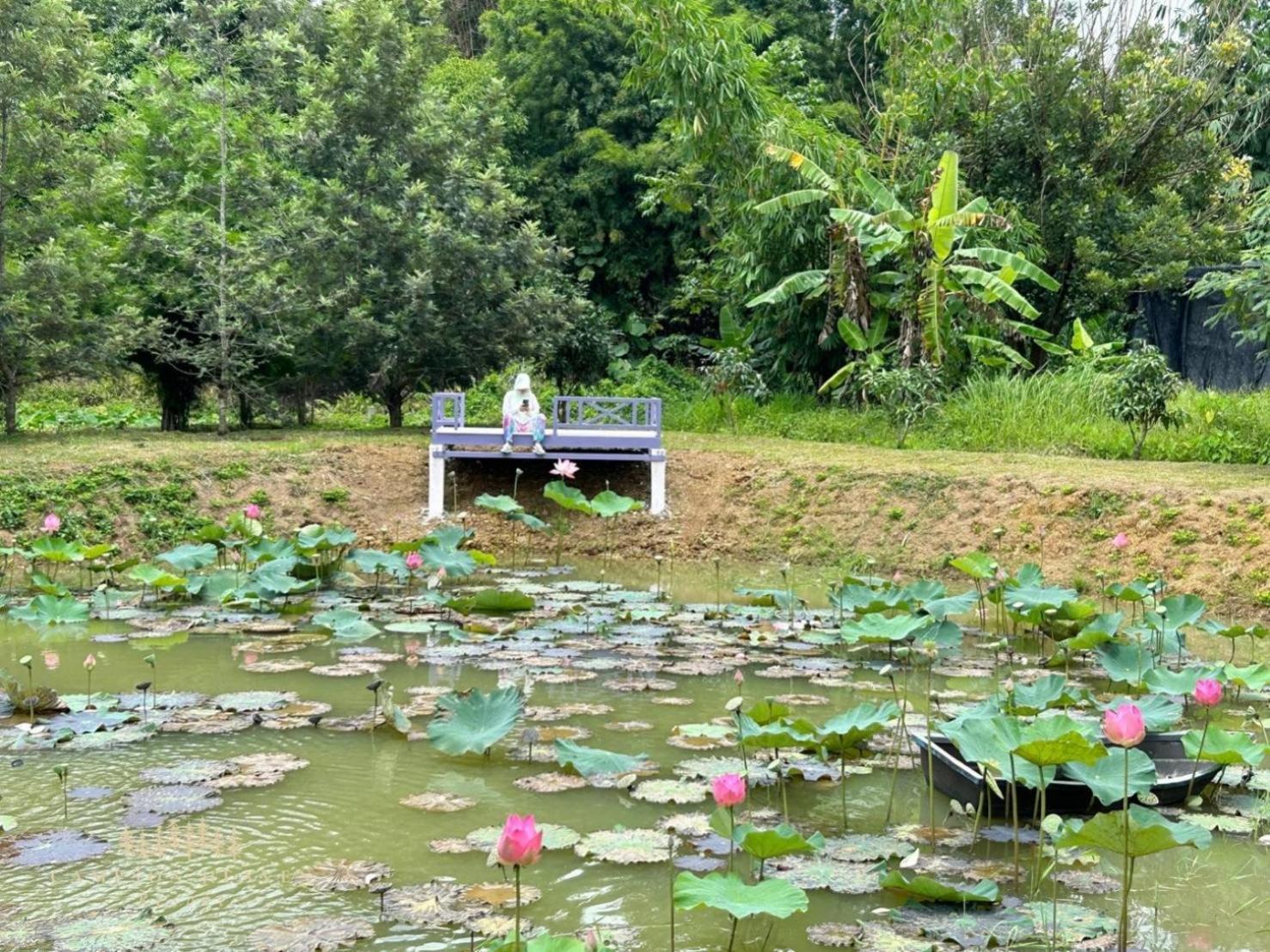 Campson Heaven Resort Khao Kho Exteriör bild